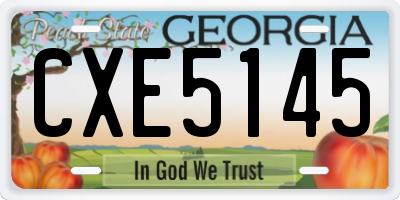 GA license plate CXE5145