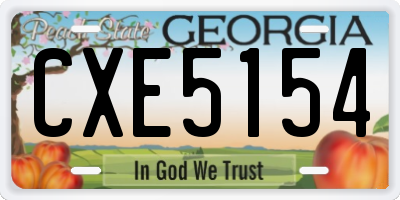 GA license plate CXE5154