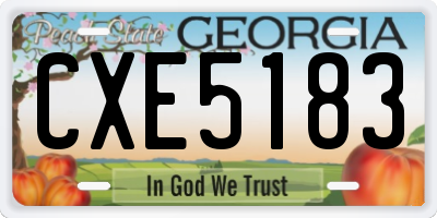 GA license plate CXE5183