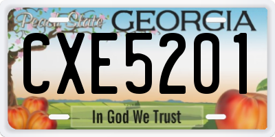 GA license plate CXE5201