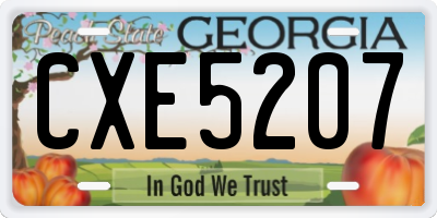 GA license plate CXE5207