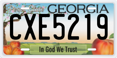 GA license plate CXE5219