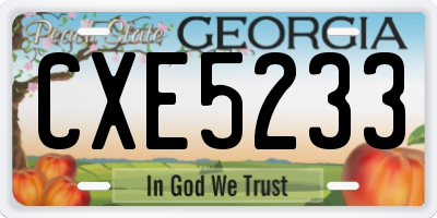 GA license plate CXE5233