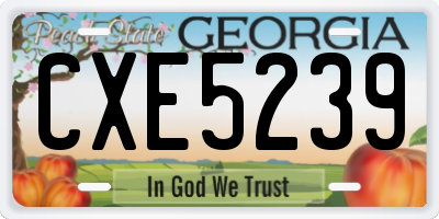 GA license plate CXE5239