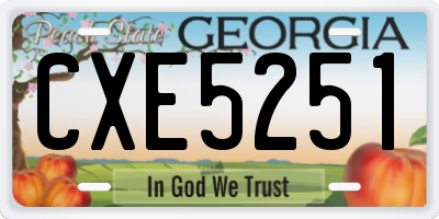 GA license plate CXE5251