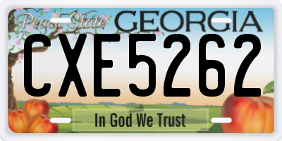 GA license plate CXE5262