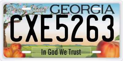 GA license plate CXE5263
