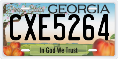 GA license plate CXE5264