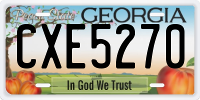 GA license plate CXE5270