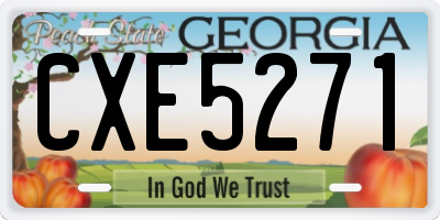 GA license plate CXE5271