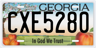 GA license plate CXE5280