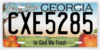 GA license plate CXE5285