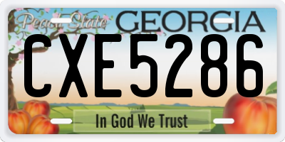 GA license plate CXE5286