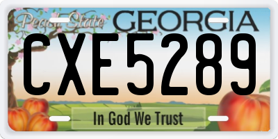 GA license plate CXE5289
