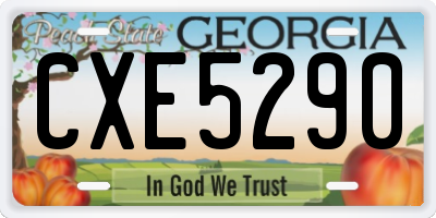 GA license plate CXE5290