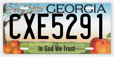 GA license plate CXE5291