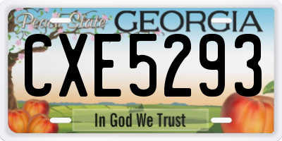 GA license plate CXE5293