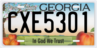 GA license plate CXE5301