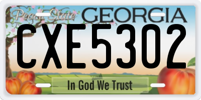 GA license plate CXE5302
