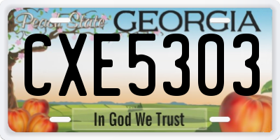 GA license plate CXE5303