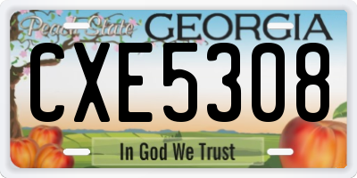 GA license plate CXE5308