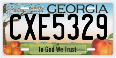 GA license plate CXE5329