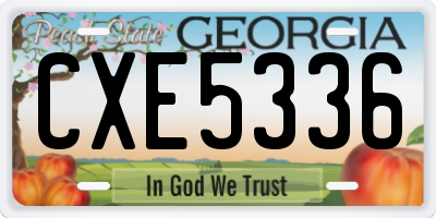 GA license plate CXE5336