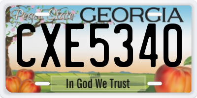 GA license plate CXE5340