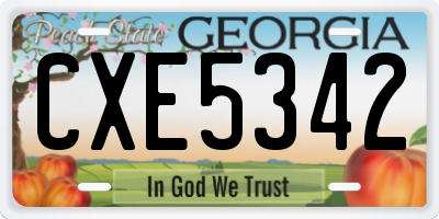 GA license plate CXE5342