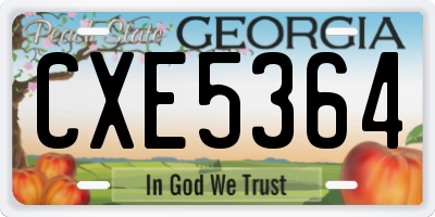 GA license plate CXE5364