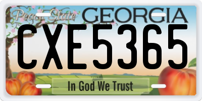 GA license plate CXE5365