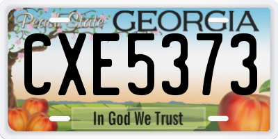 GA license plate CXE5373