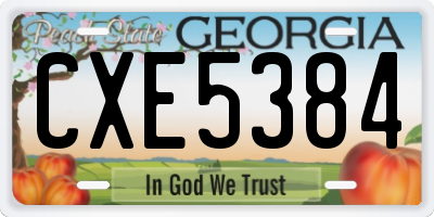 GA license plate CXE5384