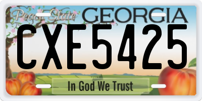 GA license plate CXE5425