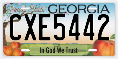 GA license plate CXE5442