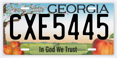 GA license plate CXE5445