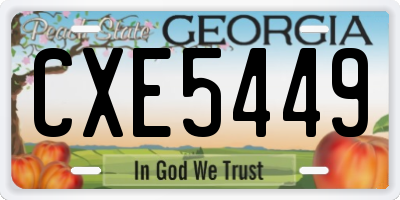 GA license plate CXE5449
