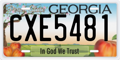 GA license plate CXE5481