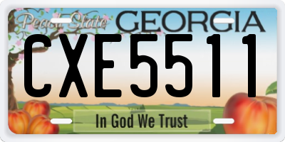 GA license plate CXE5511