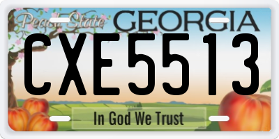 GA license plate CXE5513