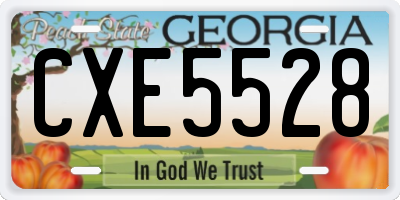 GA license plate CXE5528