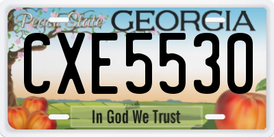 GA license plate CXE5530