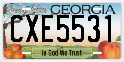 GA license plate CXE5531
