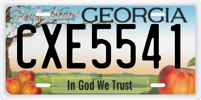 GA license plate CXE5541