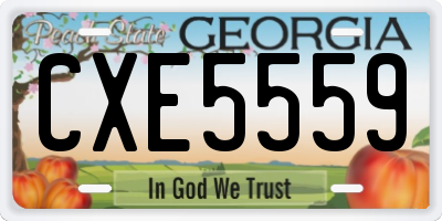 GA license plate CXE5559