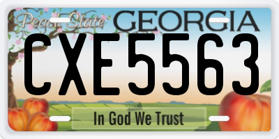 GA license plate CXE5563