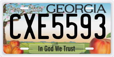 GA license plate CXE5593