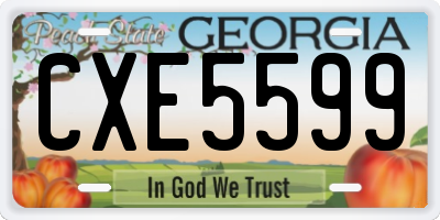 GA license plate CXE5599