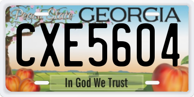GA license plate CXE5604