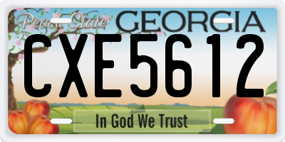 GA license plate CXE5612